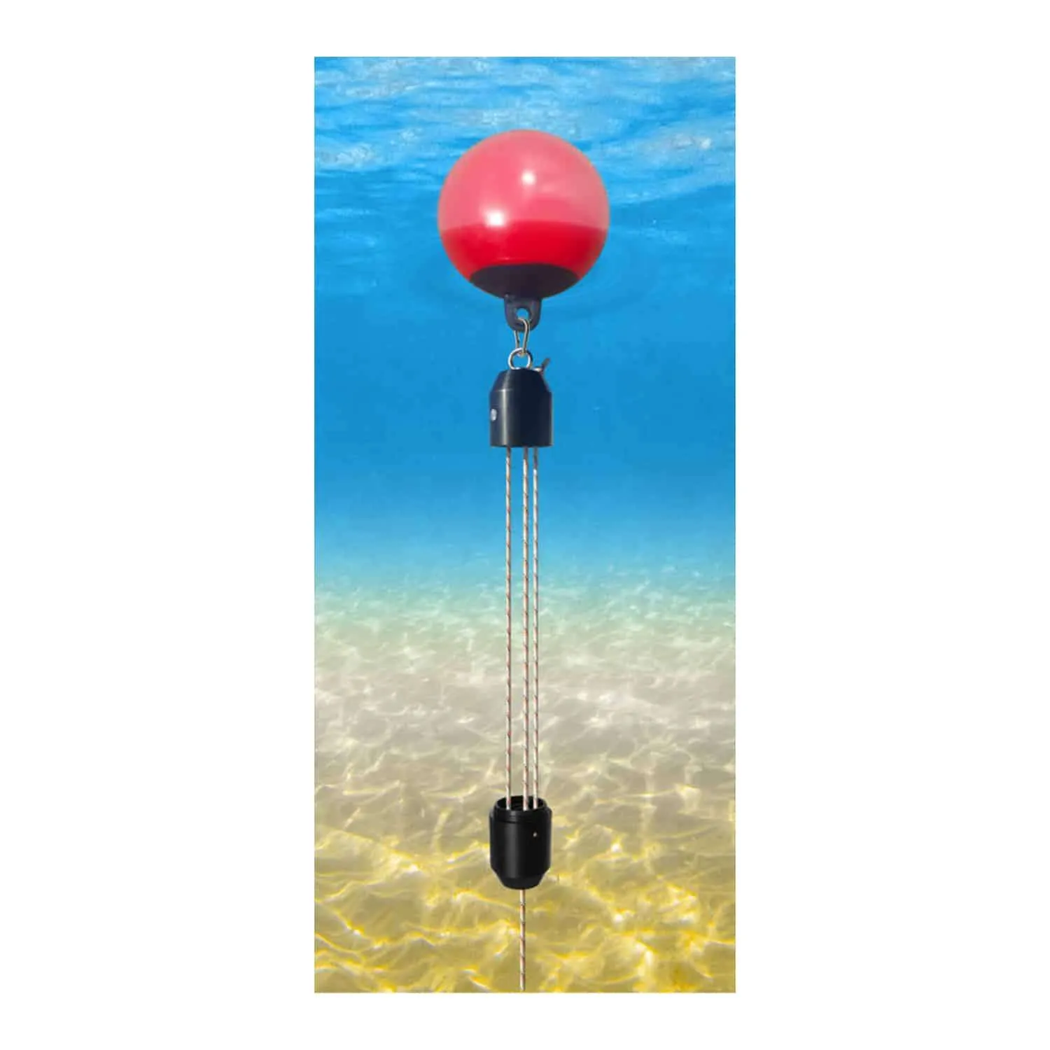 Orinque automático para fondeo - Imagen 2