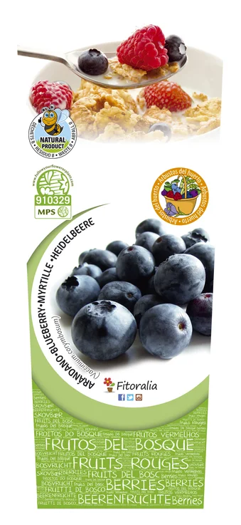 Planta de Arándano (Vaccinium corymbosum) en maceta de 2 litros