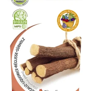 Planta de Regaliz (Glycyrrhiza glabra) en maceta de 2 litros