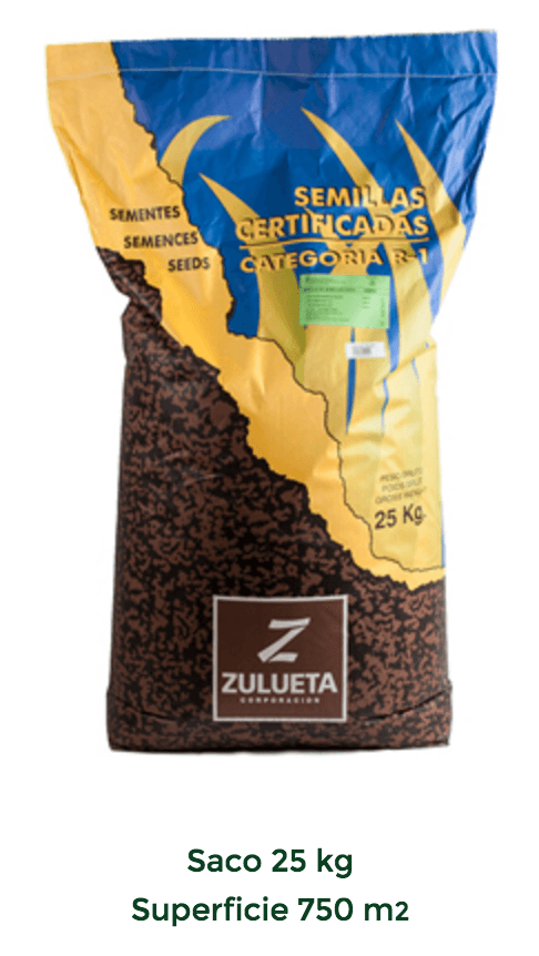 Semillas de Césped para Uso Deportivo - Imagen 3