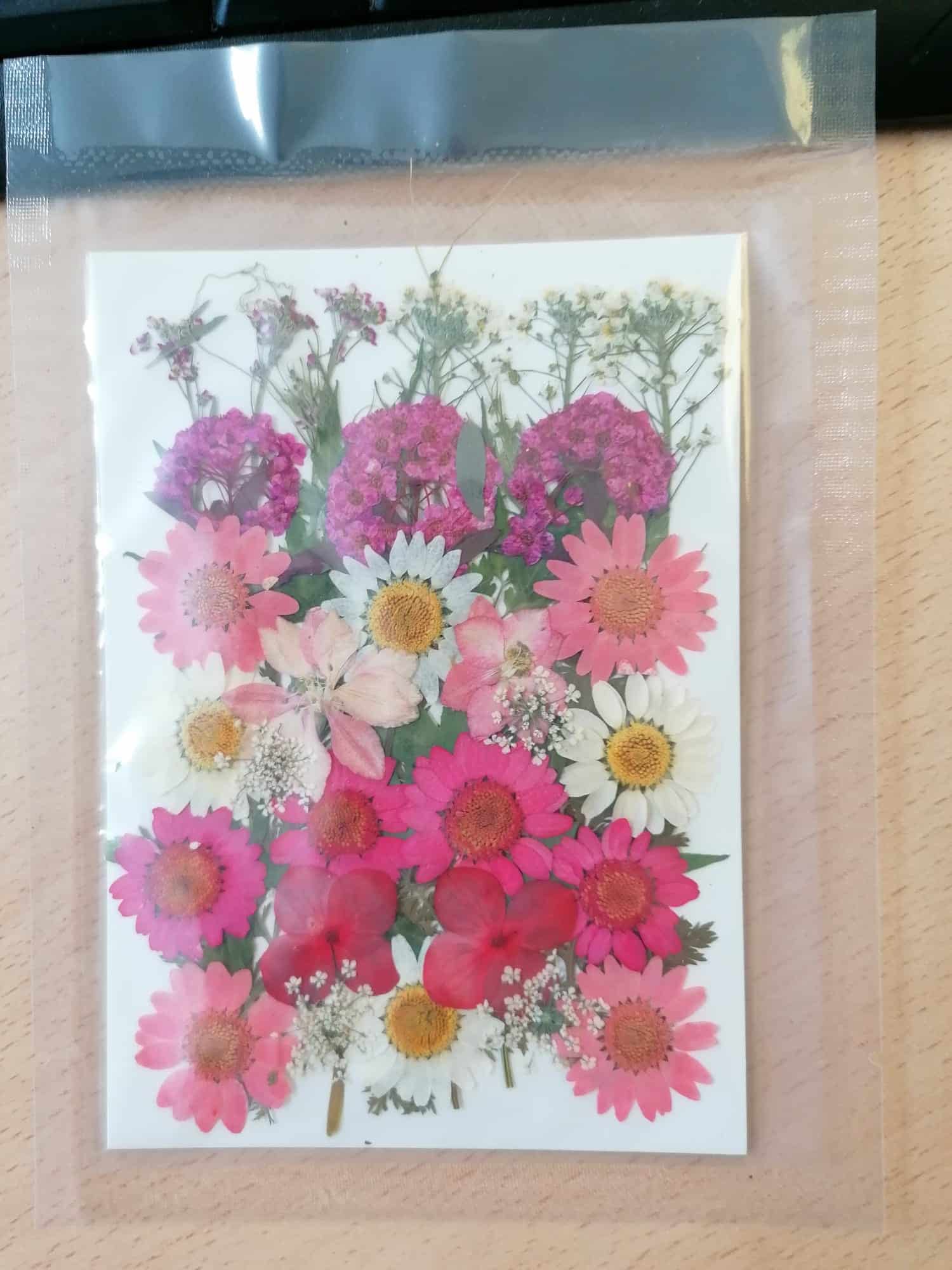 Ramo Rosa 9 tipos de flores prensadas - Imagen 3