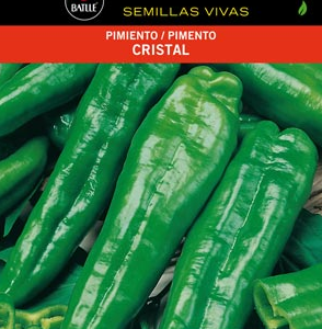 Semillas de Pimiento Cristal (2 gr)