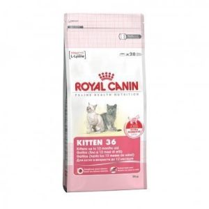 Comida para gatos de 4 a 12 meses Royal Canin Kitten 36 (4 Kg.)