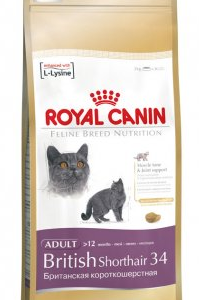 Comida para gatos raza British Shorhair Royal Canin British Shorhair 34 (10 Kg.)