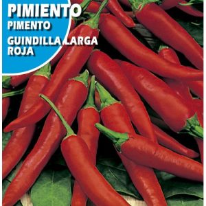 Semillas de Guindilla Larga Roja (1 gr)