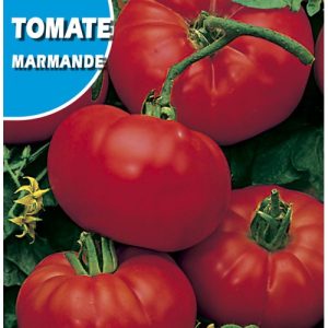 Semillas de Tomate Marmande (1 gr)